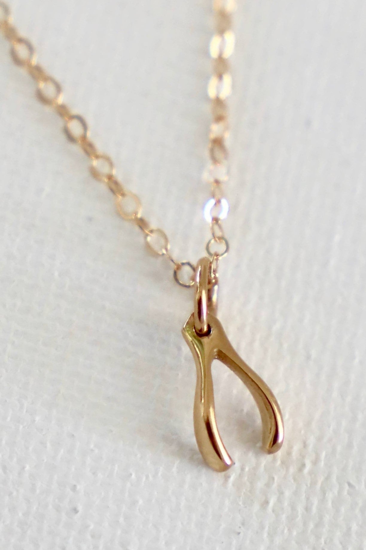 Wishbone Necklace – Friction Jewelry Inc