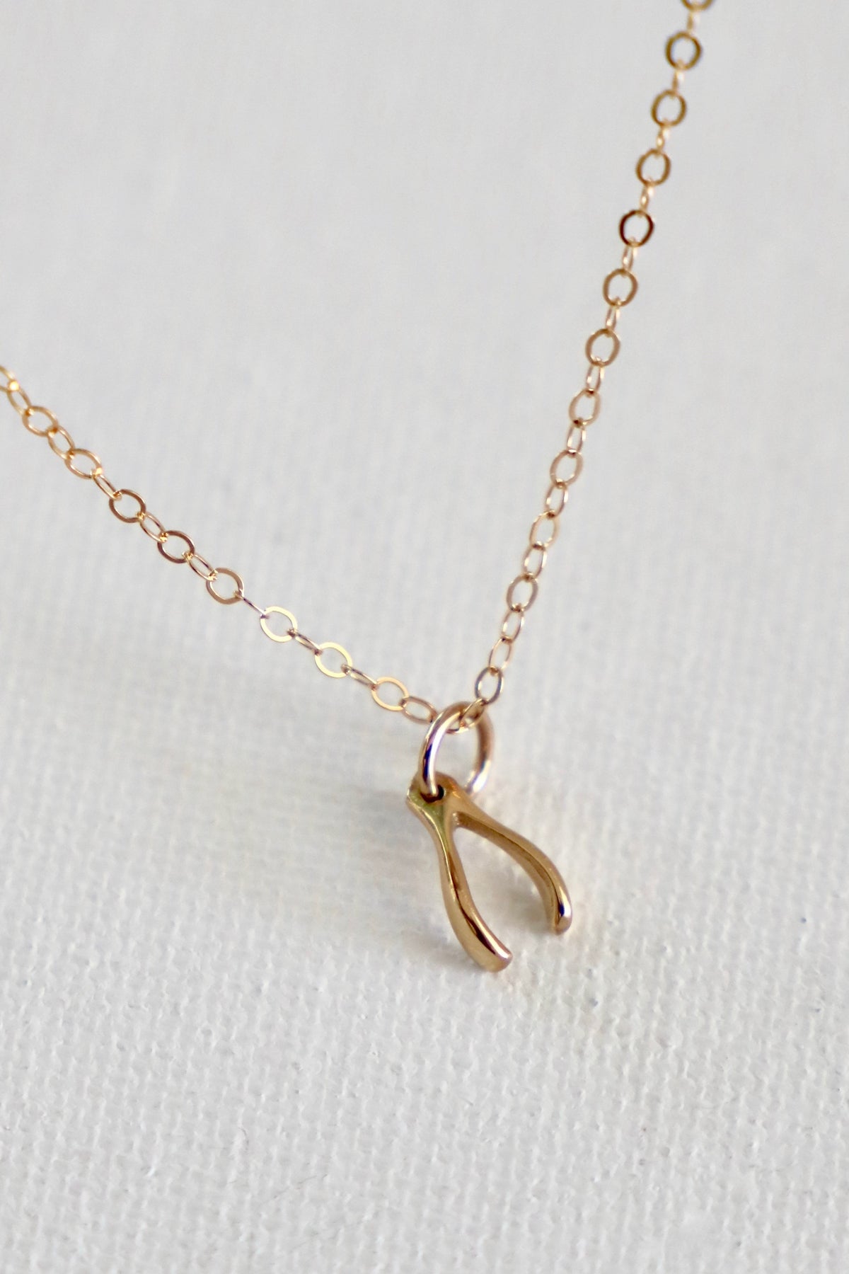 Petite Gold Wishbone Necklace